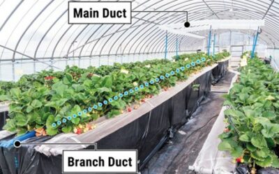 DAC Machine CO2 test